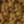 Brassy Olive, color 6 of 7
