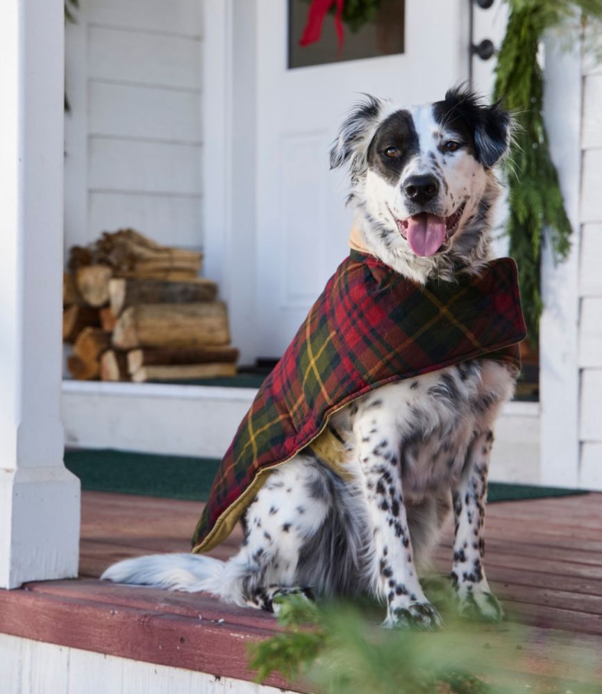 Reversible Field Coat for Dogs, Canyon Rust, small image number 6