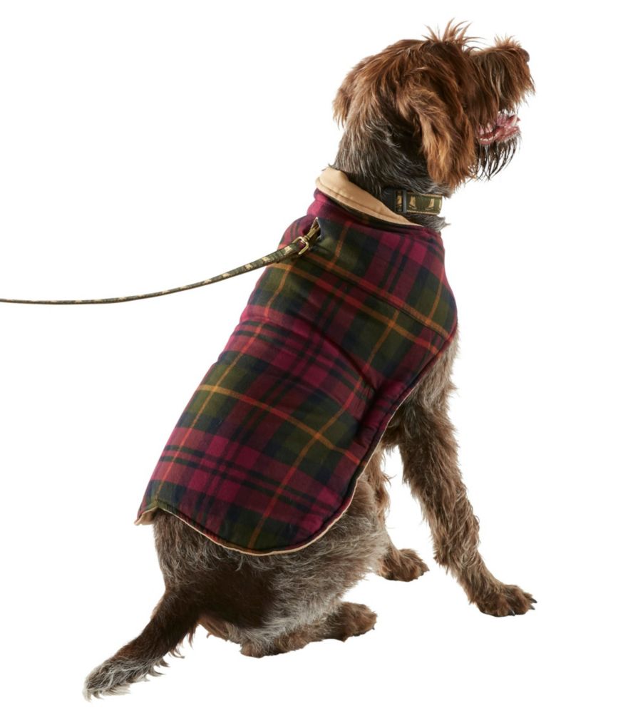 llbean dog coat