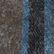 Blue Douglas Muted
