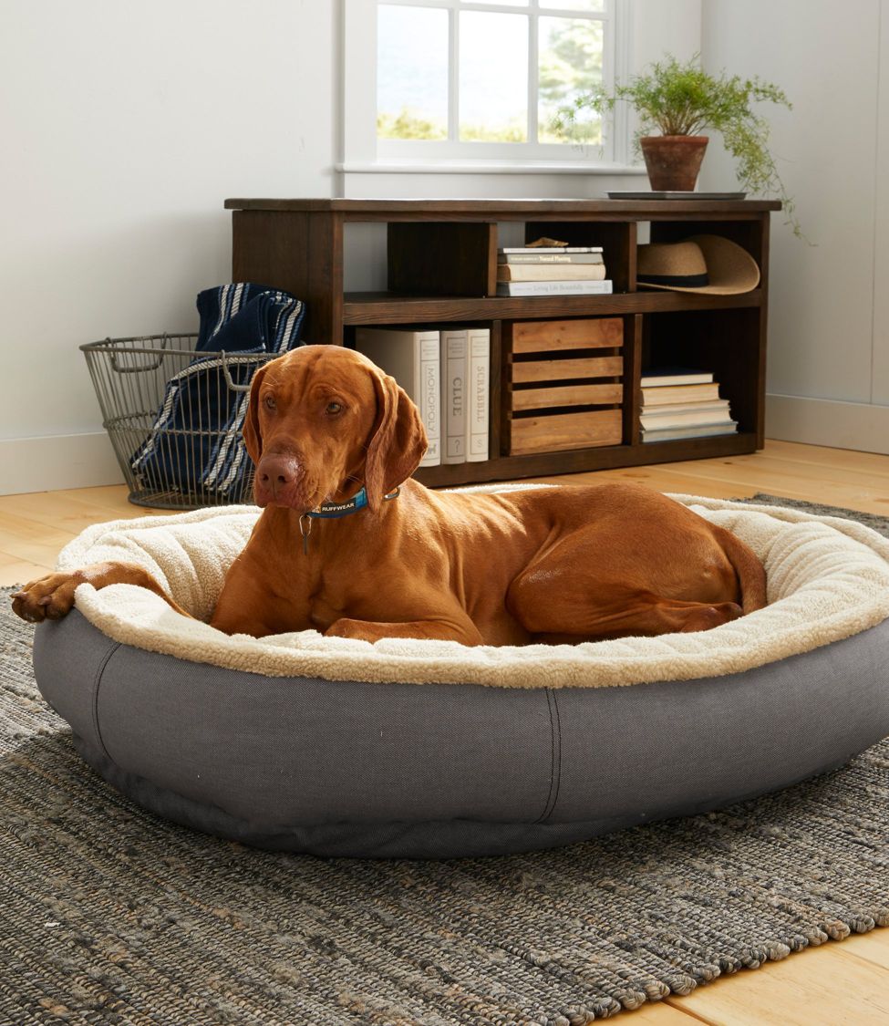 Oval dog outlet bed