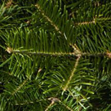 Traditional Balsam Wreath 30", One Color, swatch