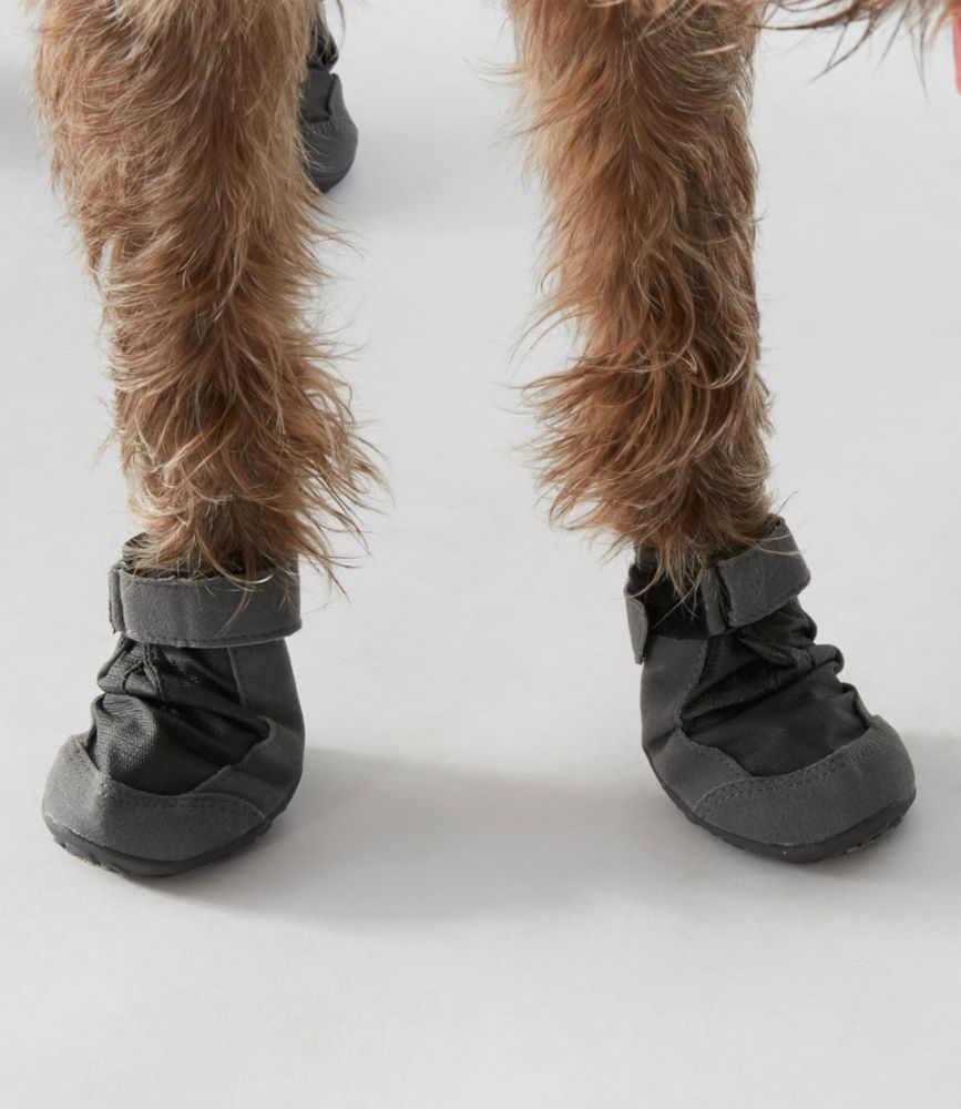 ll bean dog boots