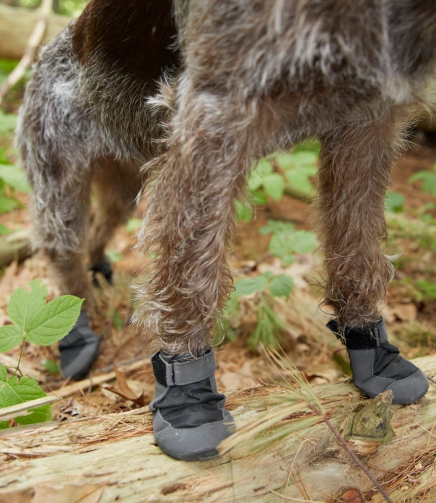 dog shoes ruffwear