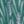 Deep Teal Garden, color 7 of 7