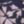 Navy Pressed Floral, color 2 of 4