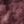 Rosewood, color 3 of 3