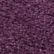 Fig, color 4 of 4