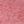 Field Rose, color 1 of 5