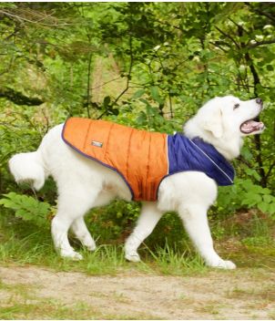 Mountain Classic Dog Parka, Colorblock