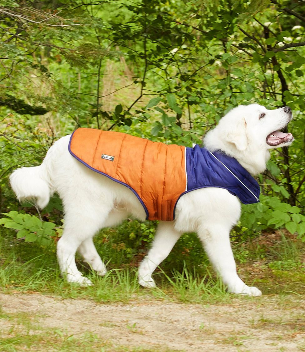 Mountain Classic Dog Parka, Colorblock at L.L. Bean