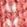 Deep Coral