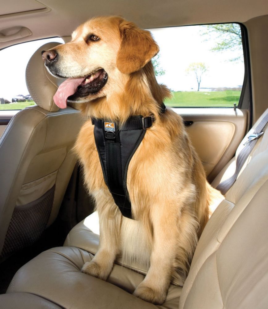 smart dog harness