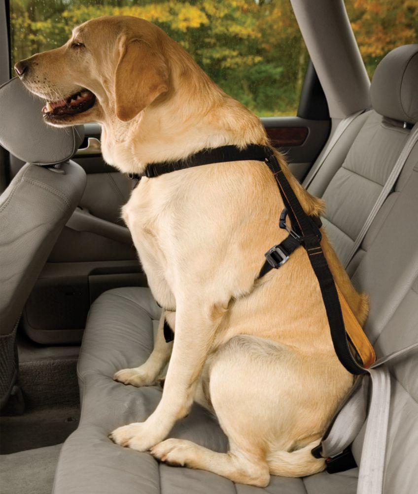 smart dog harness