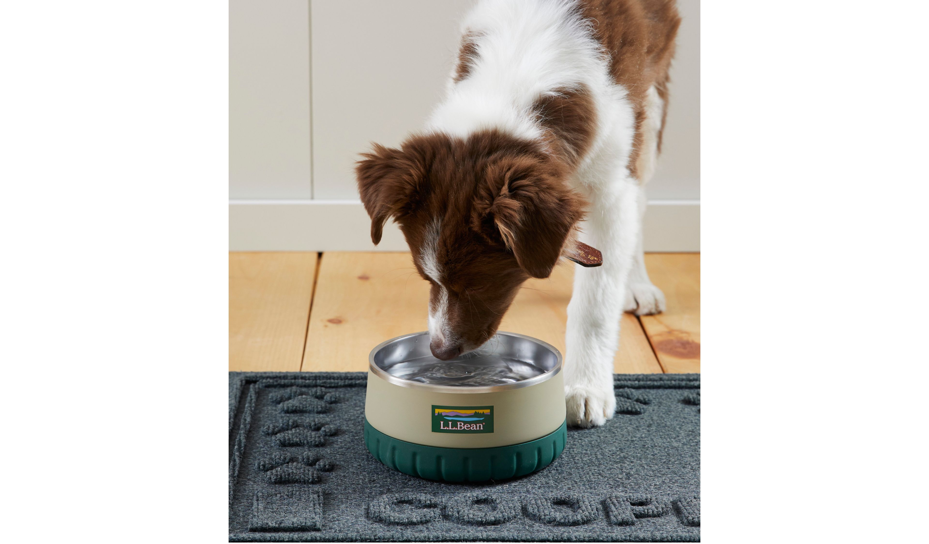 Recycled Waterhog Dog Placemat, Personalized