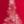 Red Snowflake Forest, color 3 of 7