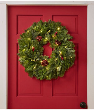 Woodland Berry Lighted Wreath, 24"