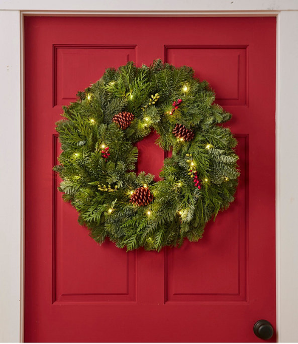 Woodland Berry Lighted Wreath, One Color, largeimage number 0