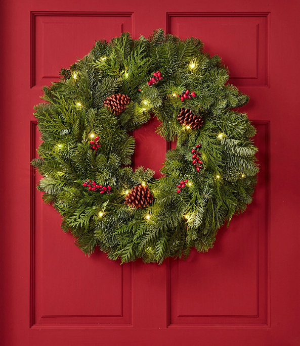 Woodland Berry Lighted Wreath, One Color, large image number 0