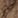 Soft Khaki, color 4 of 4