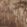 Realtree Max 5, color 1 of 1