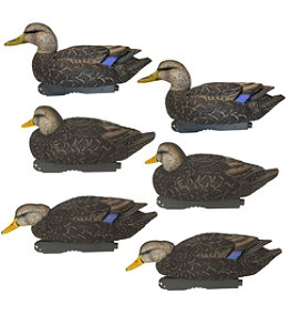 Avery Pro-Grade Decoys, Black Duck 6-Pack