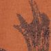 Canyon Rust