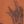 Canyon Rust, color 1 of 6