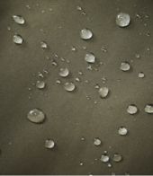 Detail, view 11 of 12