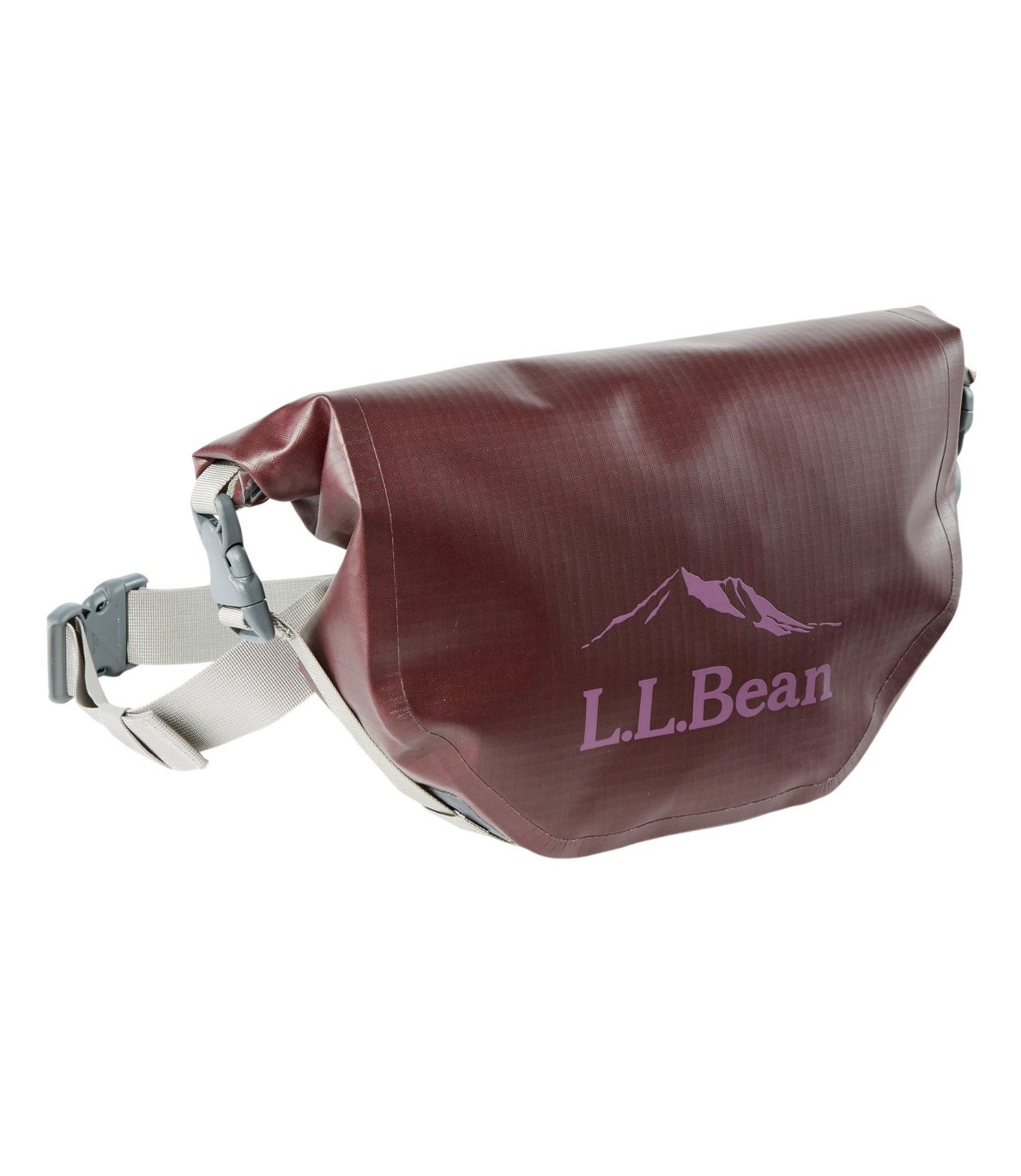 Adventure Pro Waterproof Hip Pack at L.L. Bean