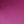 Wild Aster, color 1 of 1