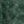 Evergreen, color 4 of 8