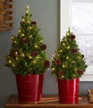 Woodland Tabletop Live Tree with Lights, Small, , small image number 1