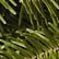Traditional Balsam Wreath, 20", One Color, swatch