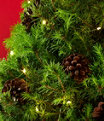 Woodland Tabletop Live Tree With Lights, Large, One Color, small image number 2