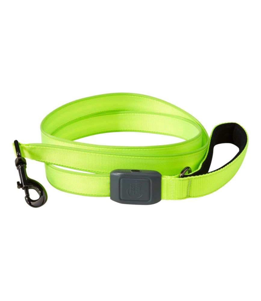 rechargeable lighted dog collars