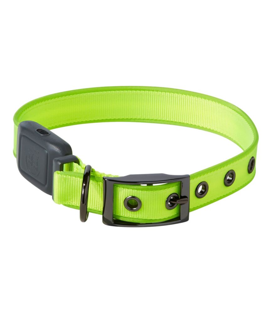 rechargeable lighted dog collars