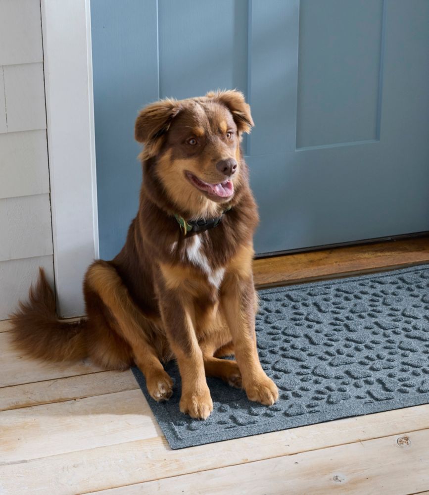 Recycled Waterhog Dog Mat, Scattered Paws Waterhog Mats at L.L.Bean