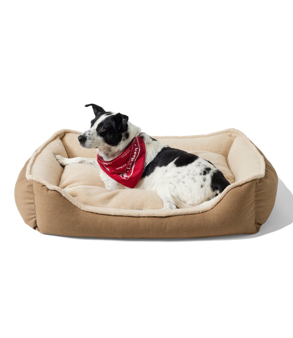 Double bolster shop dog bed