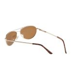 Adults' L.L.Bean Rye Polarized Sunglasses