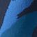 Darkest Navy Painted Leaves, color 4 of 5