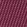 Dark Plum Rose