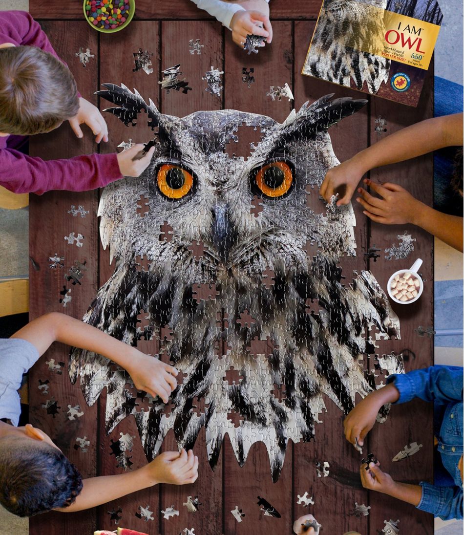 Poster Size Owl Puzzle, 550 Pieces