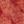 Paprika Donegal, color 3 of 3