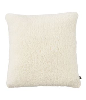 Wicked Plush Throw Pillow