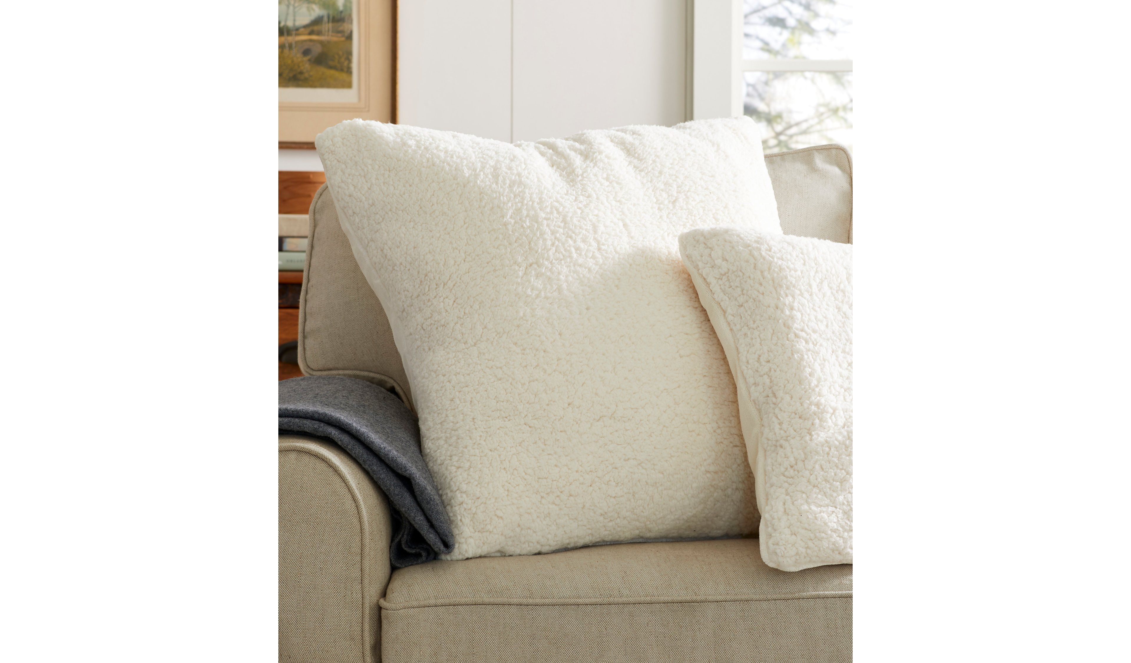 Wicked Plush Throw Pillow