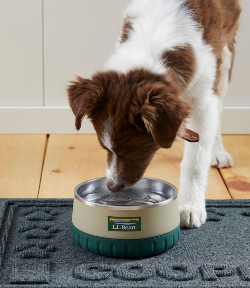 Insulated water bowl best sale