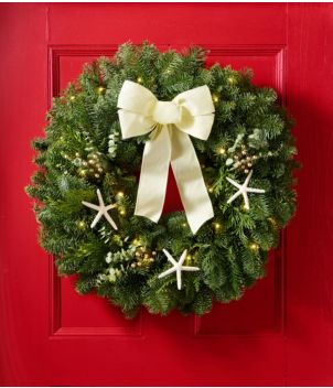 Coastal Evergreen Wreath, Lighted, 24"