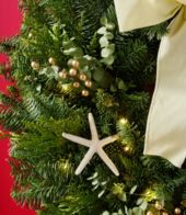 Detail, view 3 of 5