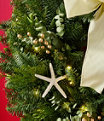 Coastal Evergreen Wreath, Lighted, 24", One Color, small image number 2